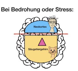 Stress trennt Neokortex